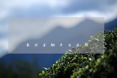 泰然金融平台逾期 泰然金融平台逾期