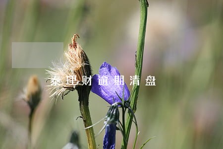 泰理财逾期清盘 泰理财逾期清盘