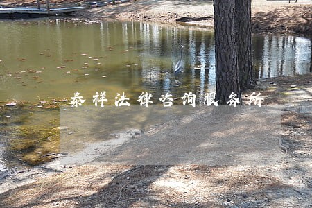 泰祥法律咨询服务所 泰祥法律咨询服务所