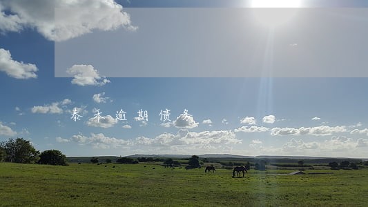 泰禾逾期债务