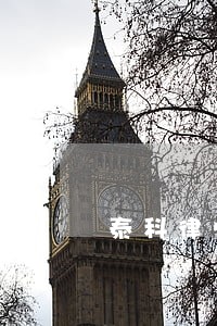 泰科律师以人为本 泰科律师以人为本