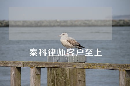 泰科律师客户至上 泰科律师客户至上