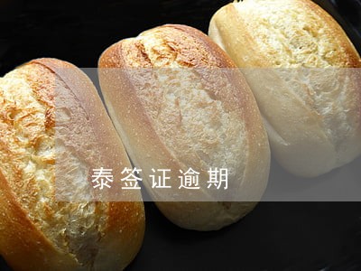 泰签证逾期 泰签证逾期