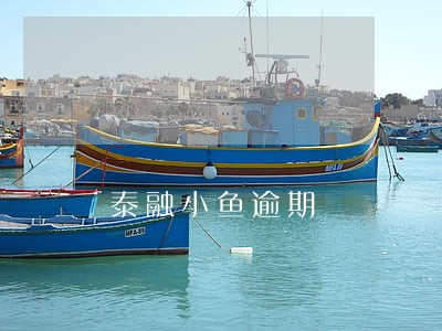 泰融小鱼逾期 泰融小鱼逾期
