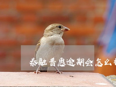 泰融普惠逾期会怎么样 泰融普惠逾期会怎么样