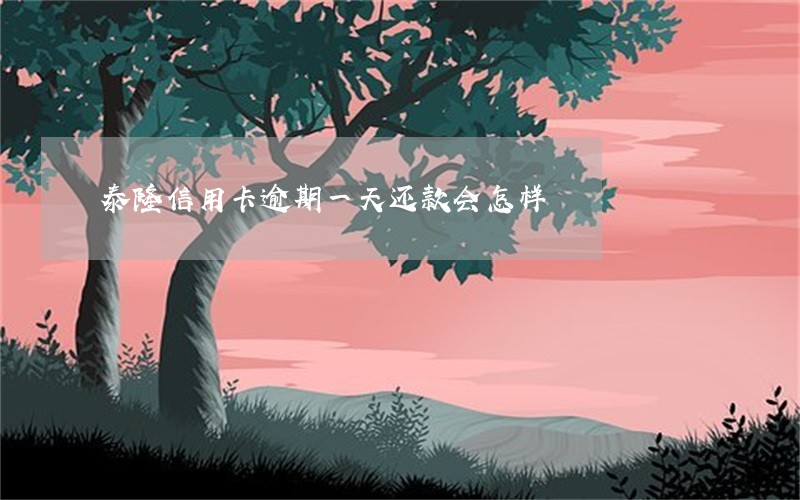 泰隆信用卡逾期一天还款会怎样 泰隆信用卡逾期一天还款会怎样