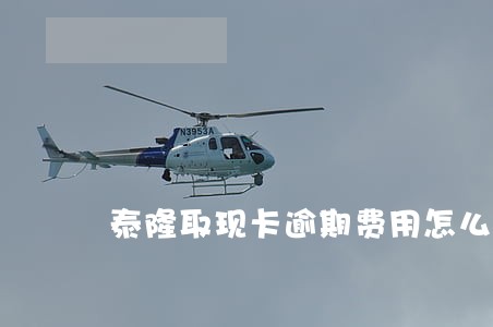 泰隆取现卡逾期费用怎么算 泰隆取现卡逾期费用怎么算