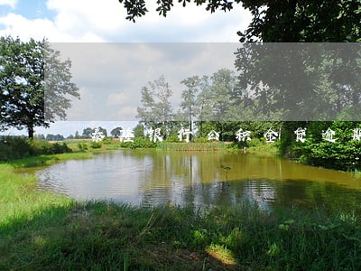 泰隆银行公积金贷逾期1天 泰隆银行公积金贷逾期1天
