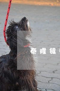 泰隆银行贷款利息逾期
