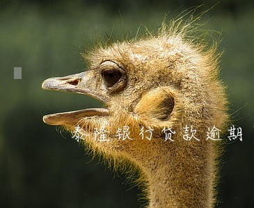 泰隆银行贷款逾期了怎么办 泰隆银行贷款逾期了怎么办