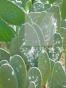 泰隆随贷卡逾期会怎么样 泰隆随贷卡逾期会怎么样