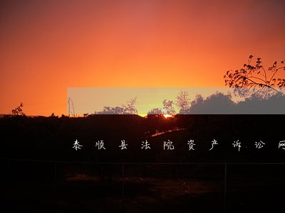 泰顺县法院资产诉讼网 泰顺县法院资产诉讼网