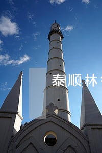 泰顺林律师