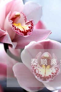 泰顺离婚律师费多少 泰顺离婚律师费多少