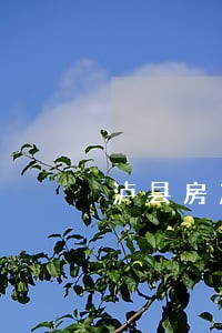 泸县房产律师咨询 泸县房产律师咨询