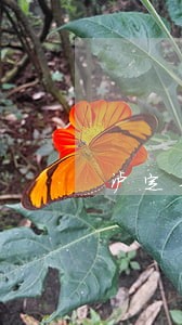泸定县邮政储蓄律师咨询电话
