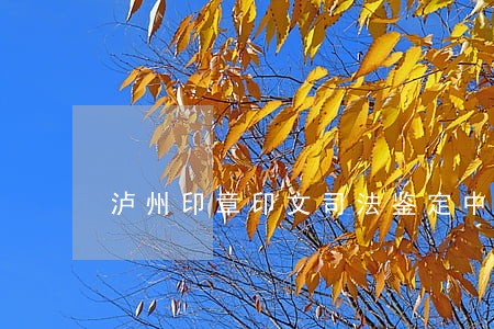 泸州印章印文司法鉴定中心 泸州印章印文司法鉴定中心