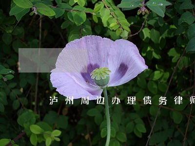 泸州周边办理债务律师选谁 泸州周边办理债务律师选谁