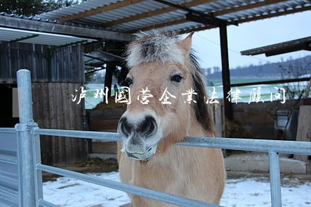 泸州国营企业法律顾问 泸州国营企业法律顾问