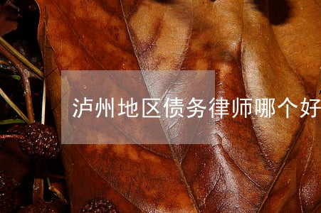 泸州地区债务律师哪个好 泸州地区债务律师哪个好