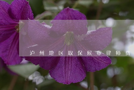 泸州地区取保候审律师费用 泸州地区取保候审律师费用