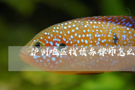 泸州地区找债务律师怎么委托 泸州地区找债务律师怎么委托