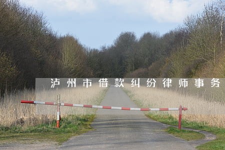 泸州市借款纠纷律师事务所 泸州市借款纠纷律师事务所