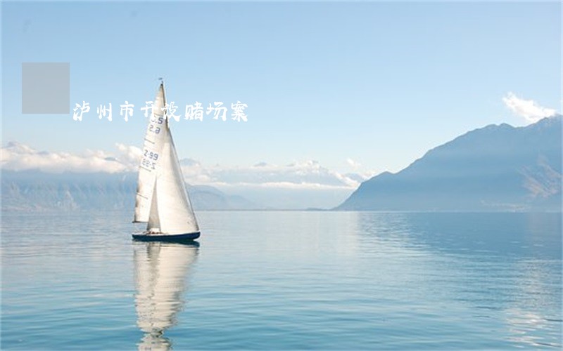 泸州市开设赌场案