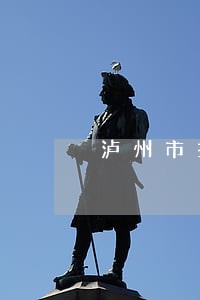泸州市找债务律师收费标准 泸州市找债务律师收费标准