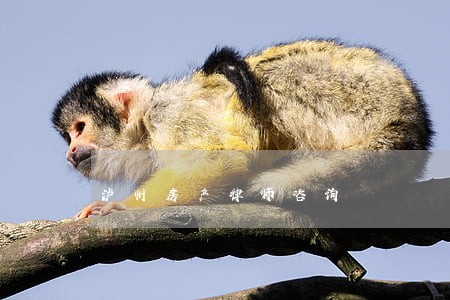 泸州房产律师咨询 泸州房产律师咨询
