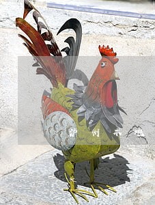 泸州本地专办婚姻律师 泸州本地专办婚姻律师