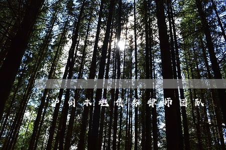泸州本地债务律师团队 泸州本地债务律师团队