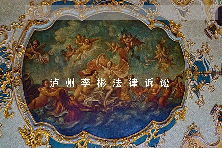 泸州李彬法律诉讼 泸州李彬法律诉讼