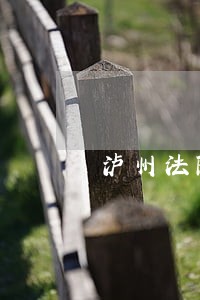 泸州法院庭审直播