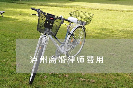 泸州离婚律师费用 泸州离婚律师费用