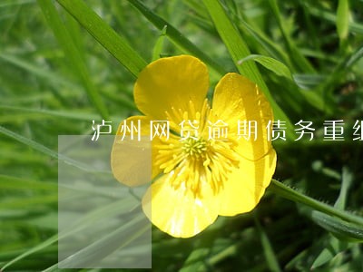 泸州网贷逾期债务重组怎么协商 泸州网贷逾期债务重组怎么协商