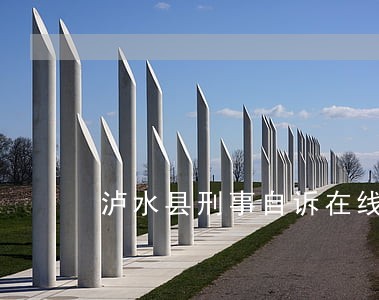 泸水县刑事自诉在线律师