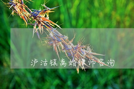 泸沽镇离婚律师咨询 泸沽镇离婚律师咨询