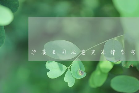 泸溪县司法鉴定法律咨询网 泸溪县司法鉴定法律咨询网