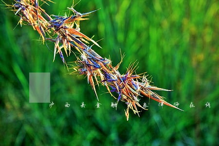 泸西县金融证券律师在线免费咨询 泸西县金融证券律师在线免费咨询