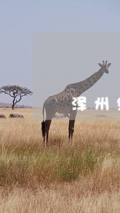 泽州经济犯罪律师 泽州经济犯罪律师