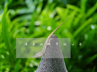 泾县法院开延公告 泾县法院开延公告