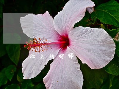 泾县的律师 泾县的律师
