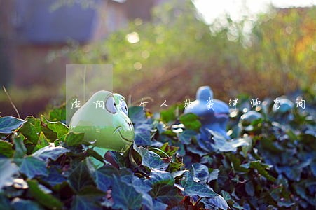 泾阳县个人独资律师咨询电话