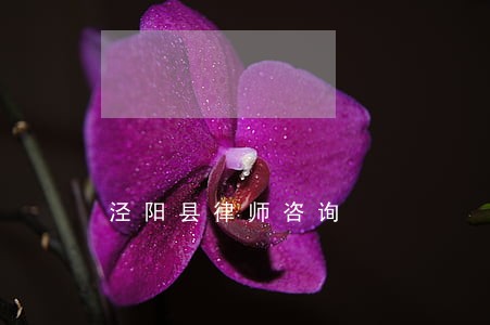 泾阳县律师咨询