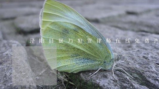 泾阳县暴力犯罪律师在线免费咨询 泾阳县暴力犯罪律师在线免费咨询