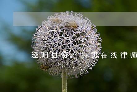 泾阳县资产拍卖在线律师 泾阳县资产拍卖在线律师