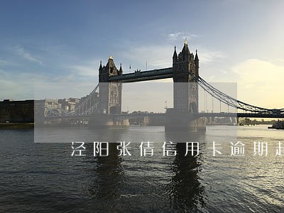 泾阳张倩信用卡逾期起诉 泾阳张倩信用卡逾期起诉