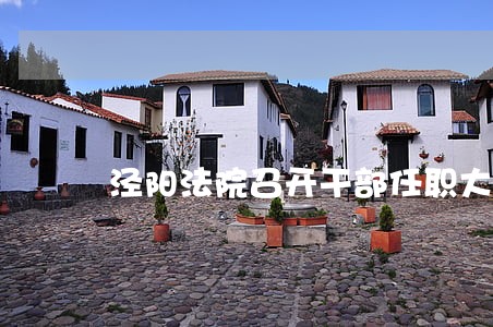 泾阳法院召开干部任职大会