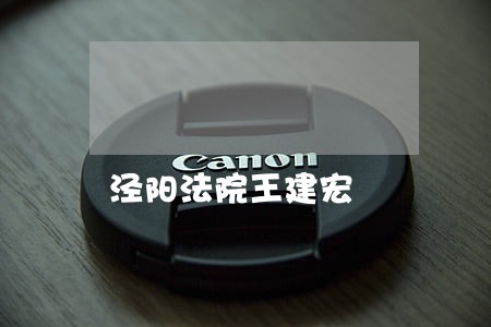 泾阳法院王建宏 泾阳法院王建宏